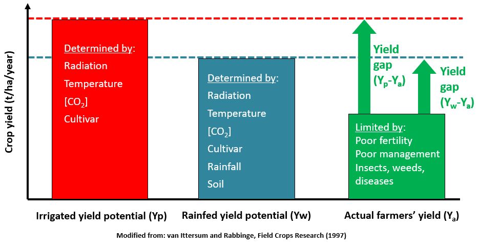 Potential, water-limited and actual yield